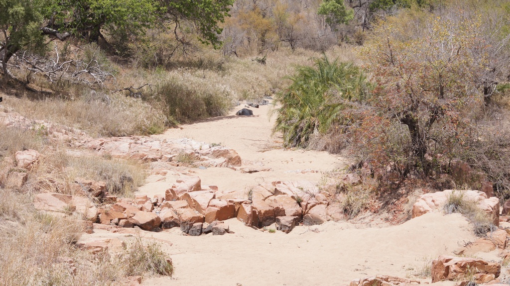 ausgetrockneter Flusslauf
